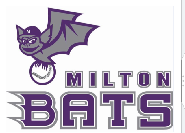 Milton Bats U14 Grey